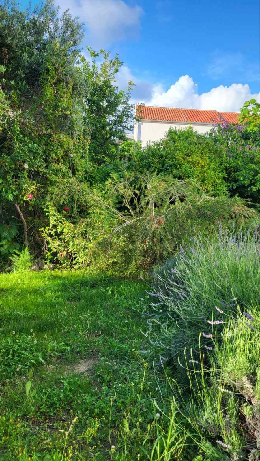 Padova 2 Apartman Banjol Kültér fotó